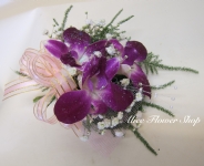 石斛蘭胸花