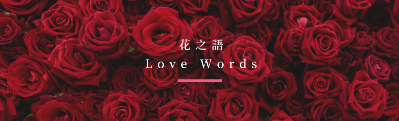 Love Words
