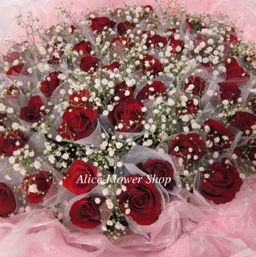 66朵紅玫瑰